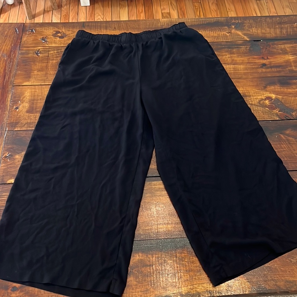 H&M wide leg pant - size LG